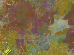 谷歌“虚拟卫星”AI模型问世:可提供近乎实时的地球视图